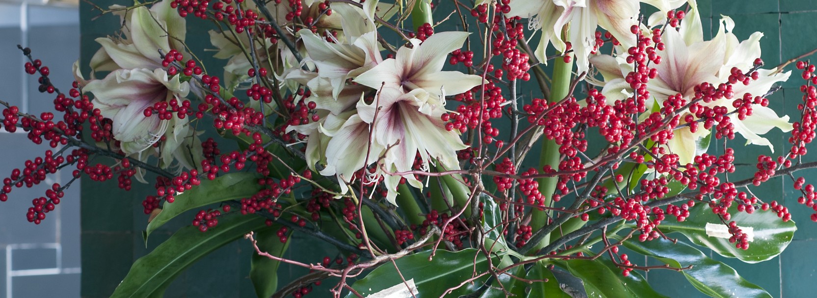 Our service and quality are your strength.