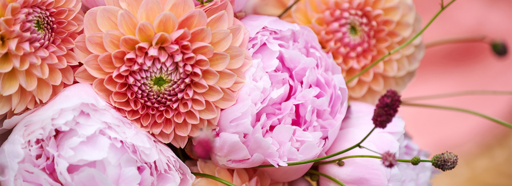 Für die schönsten Blumen und Pflanzen